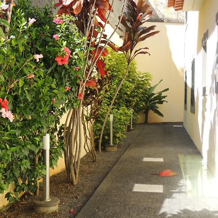 Studio Flat With Pool فونشال المظهر الخارجي الصورة