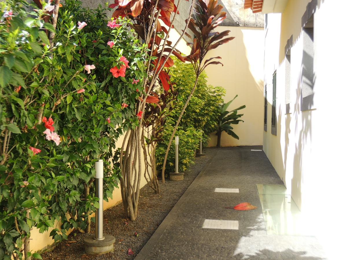 Studio Flat With Pool فونشال المظهر الخارجي الصورة