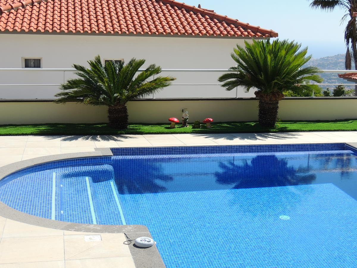 Studio Flat With Pool فونشال المظهر الخارجي الصورة